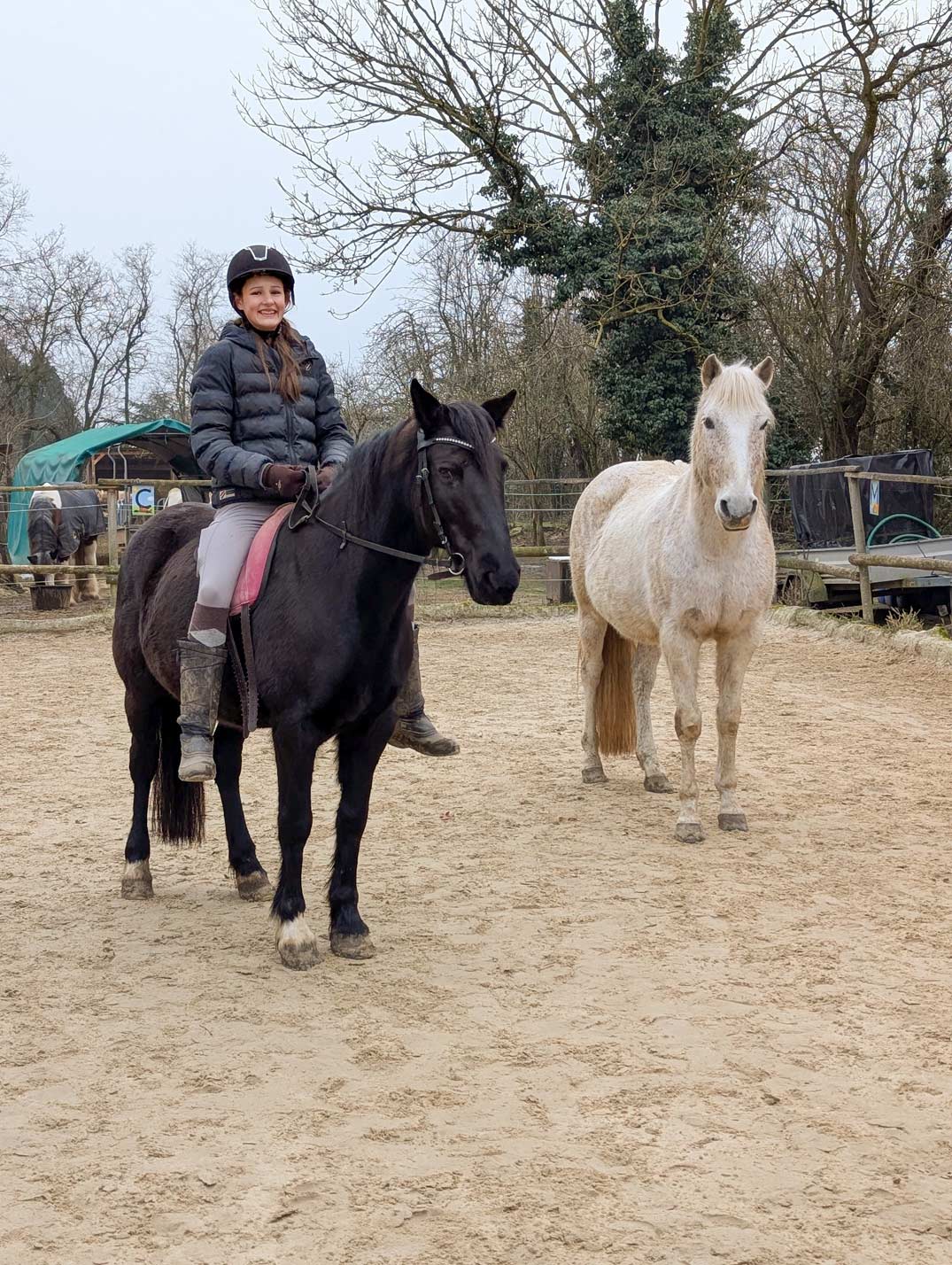 Janina_pinker-Sattel